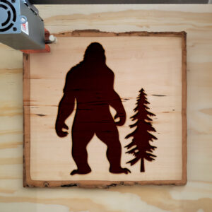 47010_wood-laser-1.jpg