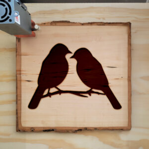 47012_wood-laser-1.jpg