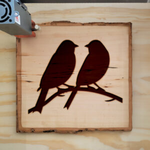 47014_wood-laser-1.jpg