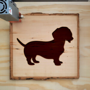 47034_wood-laser-1.jpg