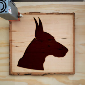 47062_wood-laser-1.jpg
