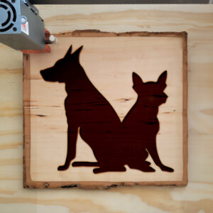 47064_wood-laser-1.jpg