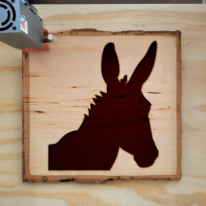 47066_wood-laser-1.jpg