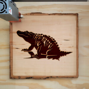 47239_wood-laser-1.jpg