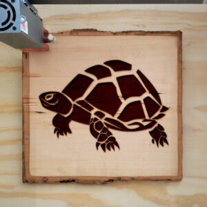47247_wood-laser-1.jpg