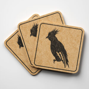 47282_coaster-1.jpg