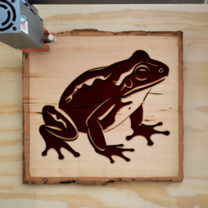 47295_wood-laser-1.jpg