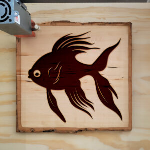 47302_wood-laser-1.jpg