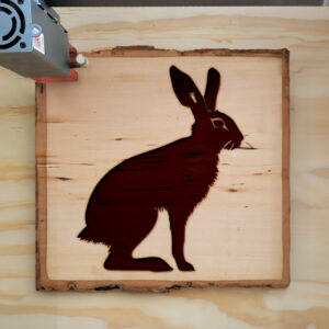 47304_wood-laser-1.jpg