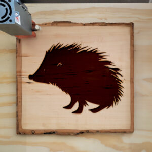 47309_wood-laser-1.jpg