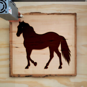 47311_wood-laser-1.jpg