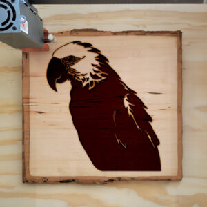 47346_wood-laser-1.jpg
