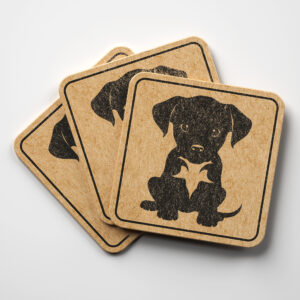 47348_coaster-1.jpg
