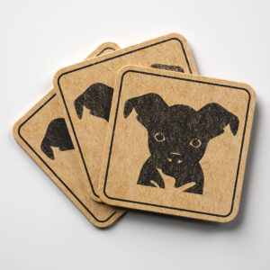 47353_coaster-1.jpg