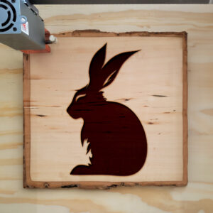 47365_wood-laser-1.jpg