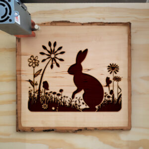 47383_wood-laser-1.jpg