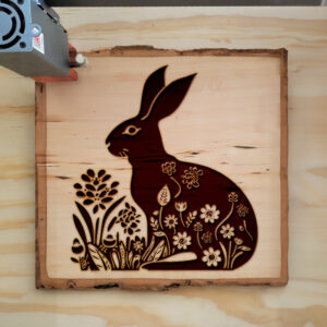 47385_wood-laser-1.jpg