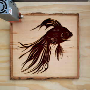 47403_wood-laser-1.jpg