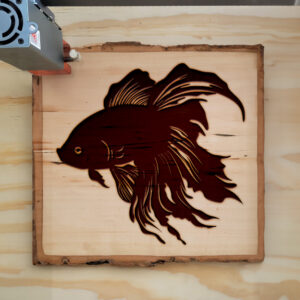 47405_wood-laser-1.jpg