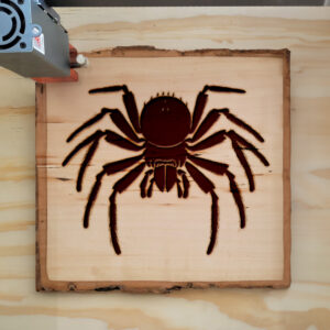 47409_wood-laser-1.jpg