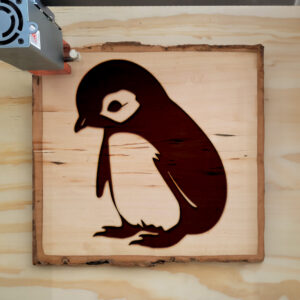 47423_wood-laser-1.jpg