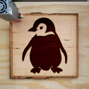 47425_wood-laser-1.jpg