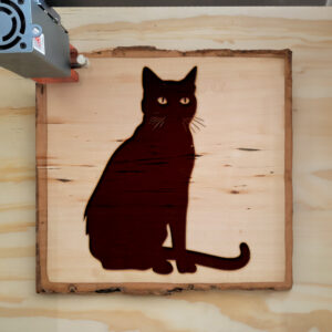 47433_wood-laser-1.jpg