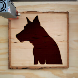 47439_wood-laser-1.jpg