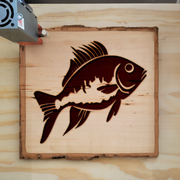 47451_wood-laser-1.jpg