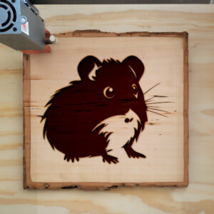 47465_wood-laser-1.jpg