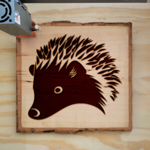 47473_wood-laser-1.jpg