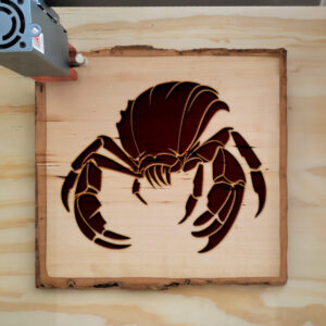 47477_wood-laser-1.jpg