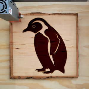 47481_wood-laser-1.jpg