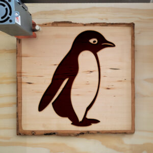 47483_wood-laser-1.jpg