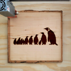 47485_wood-laser-1.jpg