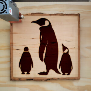 47491_wood-laser-1.jpg