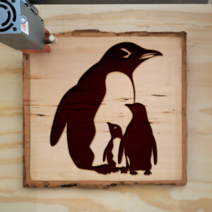 47493_wood-laser-1.jpg