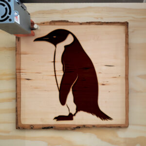 47497_wood-laser-1.jpg