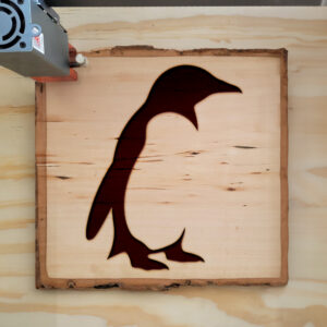 47499_wood-laser-1.jpg