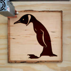 47507_wood-laser-1.jpg