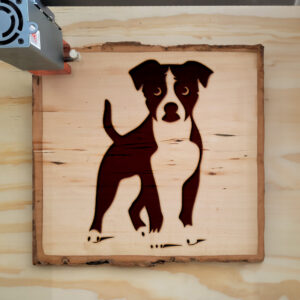 47517_wood-laser-1.jpg