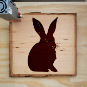 47521_wood-laser-1.jpg