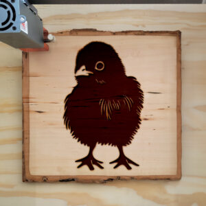 47535_wood-laser-1.jpg