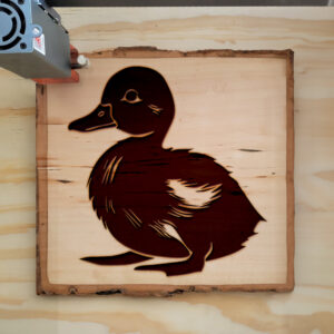 47547_wood-laser-1.jpg
