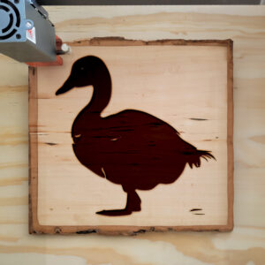 47565_wood-laser-1.jpg