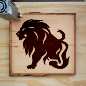 47577_wood-laser-1.jpg