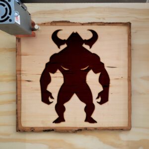 47591_wood-laser-1.jpg