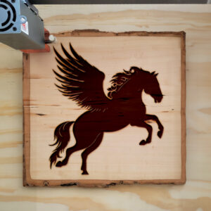 47596_wood-laser-1.jpg