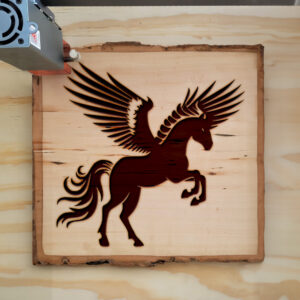 47598_wood-laser-1.jpg