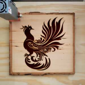 47605_wood-laser-1-1.jpg